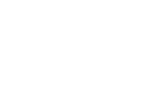 Marlin-Equity-white Marlin-Equity-white
