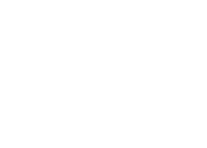 Ansarada-white